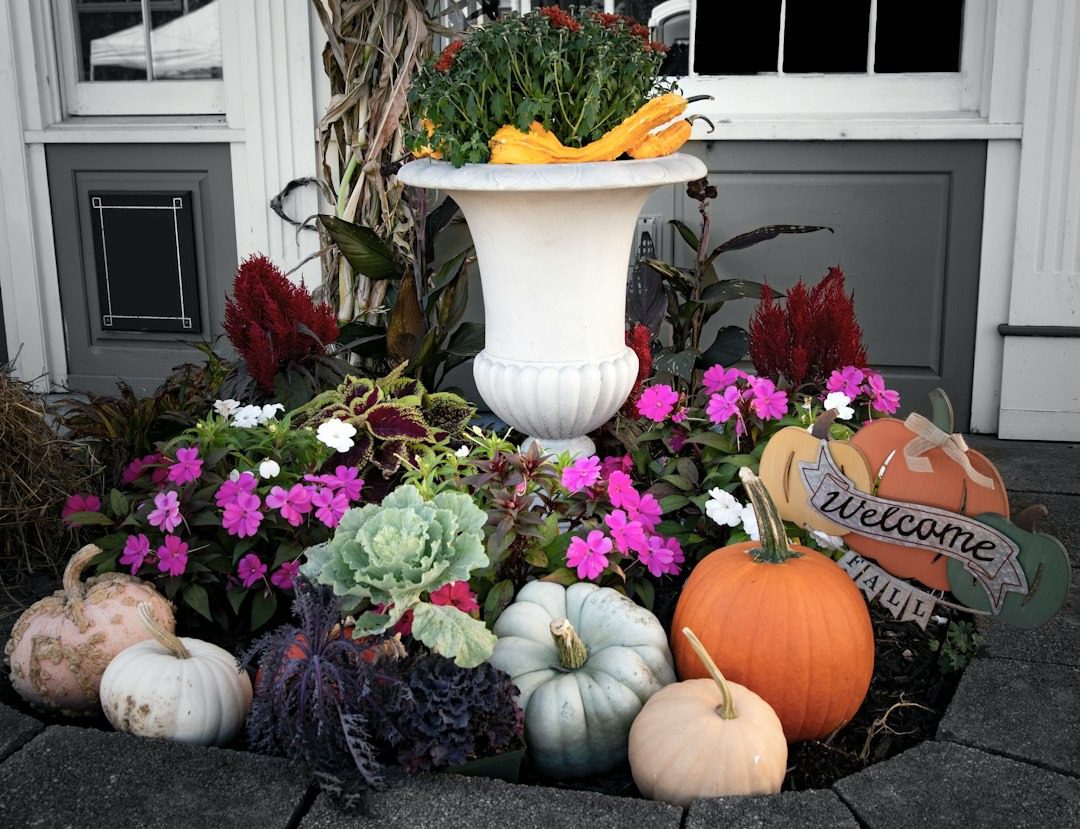 Welcome Fall sign surrounded by pumpkins, mums and ornamental kale on a porch